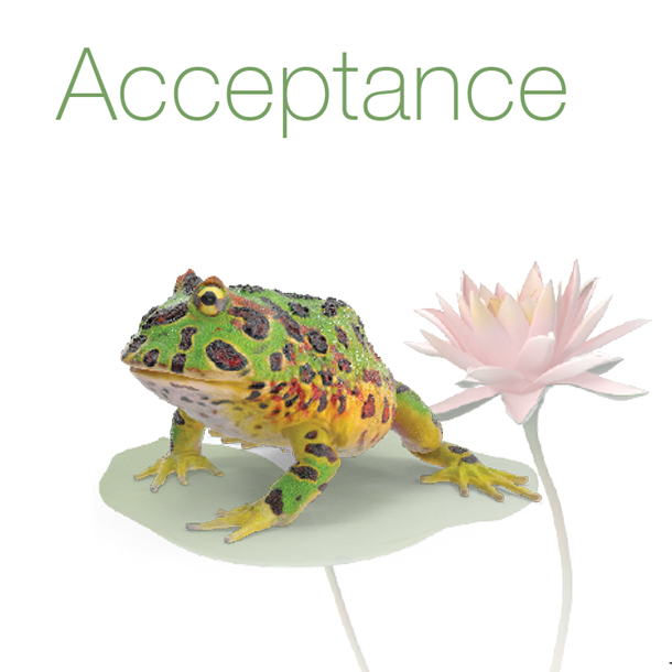 Acceptance picture - frog