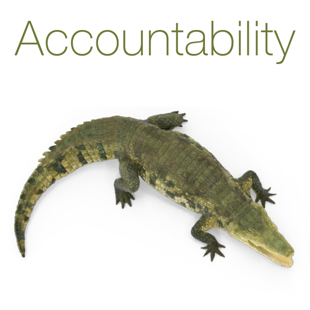 accountability image - alligator