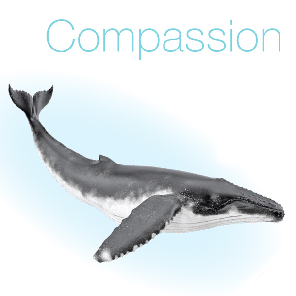 compassion image - whale