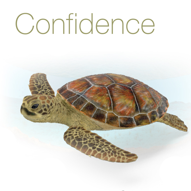 Confidence picture