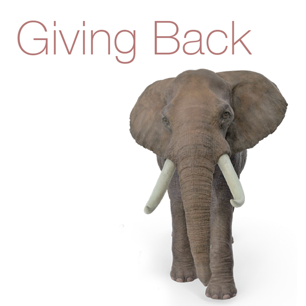 giving back image - elephant