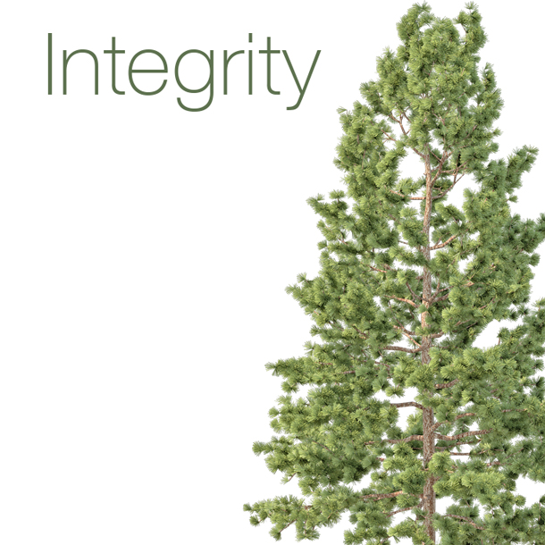 integrity image - tree
