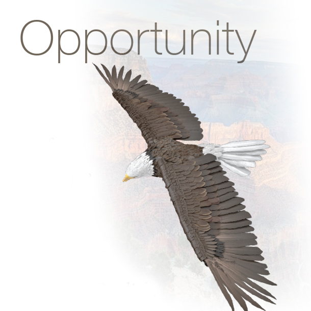 opportunity image - eagle
